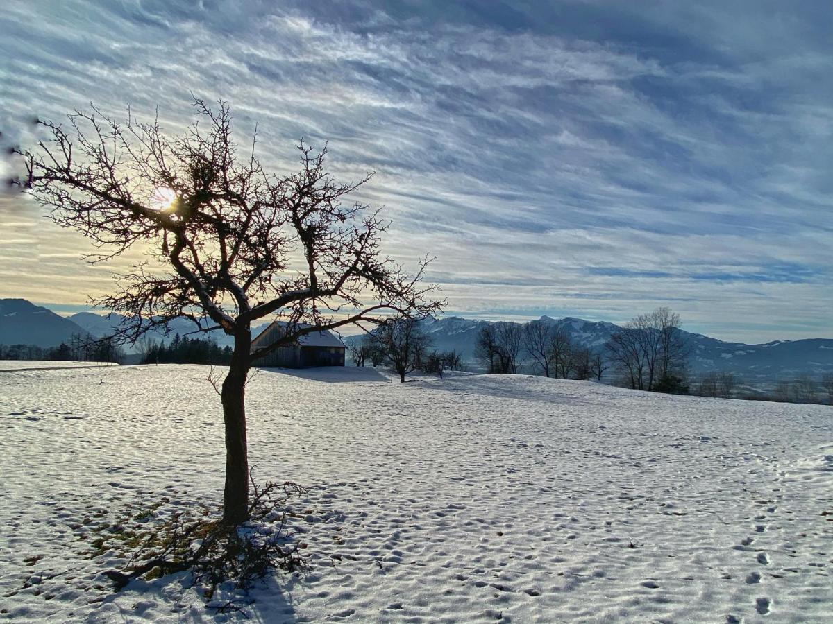 Hoamelig Daire Batschuns Dış mekan fotoğraf